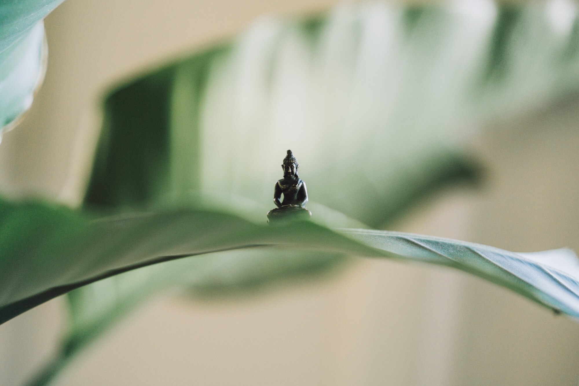 Meditation and balance